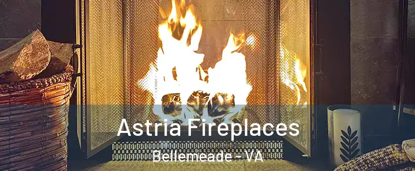 Astria Fireplaces Bellemeade - VA