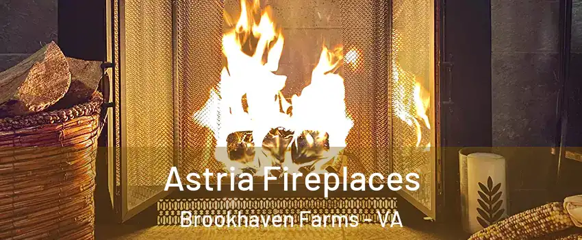 Astria Fireplaces Brookhaven Farms - VA