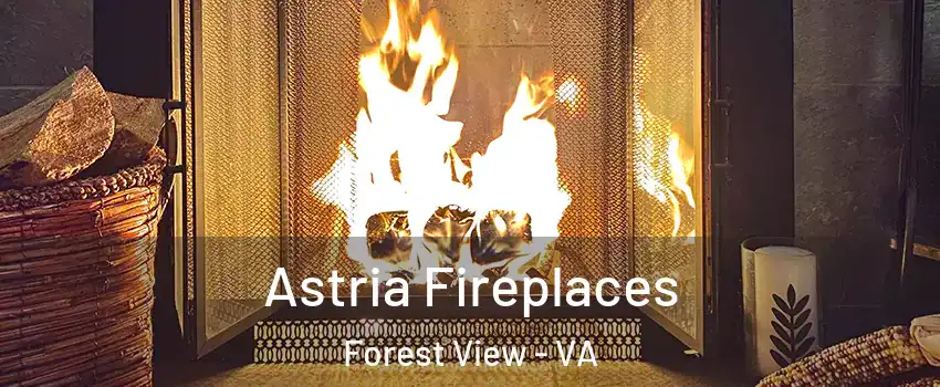 Astria Fireplaces Forest View - VA