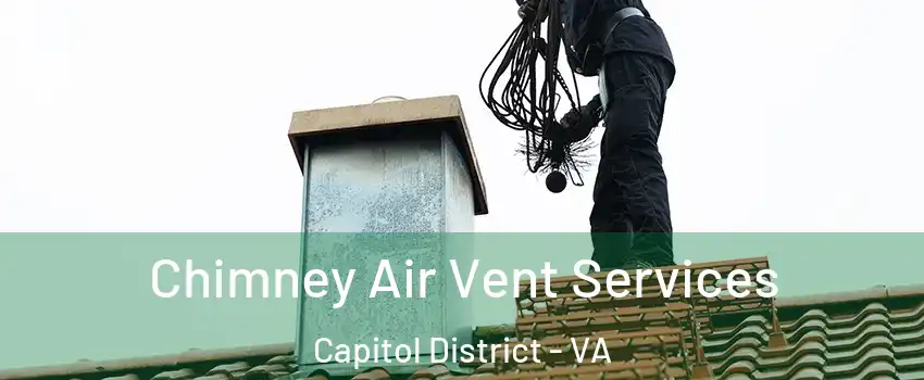 Chimney Air Vent Services Capitol District - VA