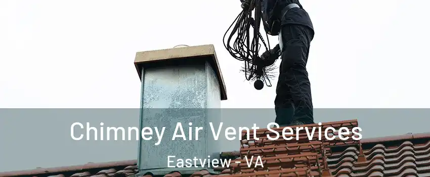 Chimney Air Vent Services Eastview - VA