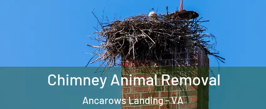 Chimney Animal Removal Ancarows Landing - VA