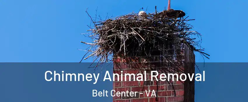 Chimney Animal Removal Belt Center - VA