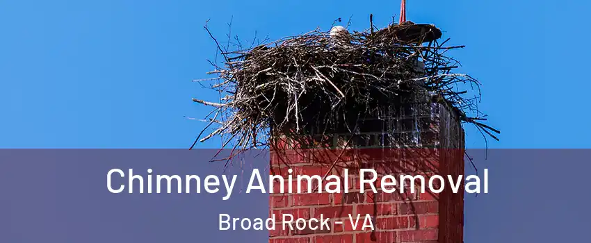 Chimney Animal Removal Broad Rock - VA