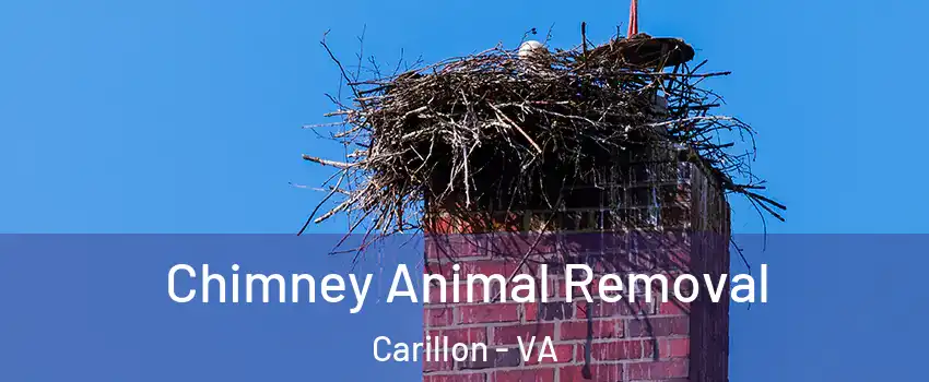 Chimney Animal Removal Carillon - VA