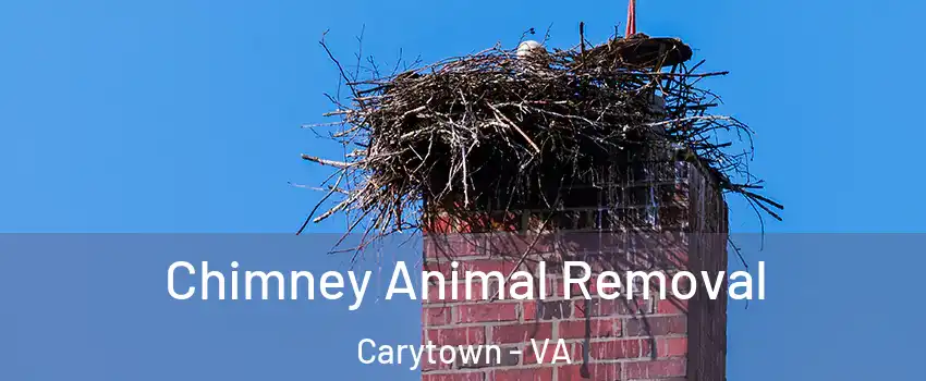 Chimney Animal Removal Carytown - VA