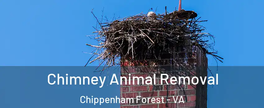 Chimney Animal Removal Chippenham Forest - VA