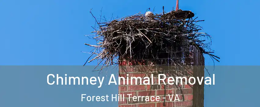 Chimney Animal Removal Forest Hill Terrace - VA