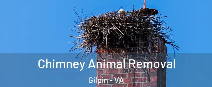 Chimney Animal Removal Gilpin - VA