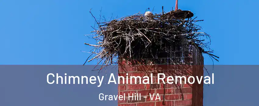 Chimney Animal Removal Gravel Hill - VA