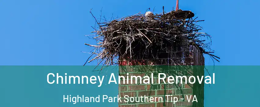 Chimney Animal Removal Highland Park Southern Tip - VA