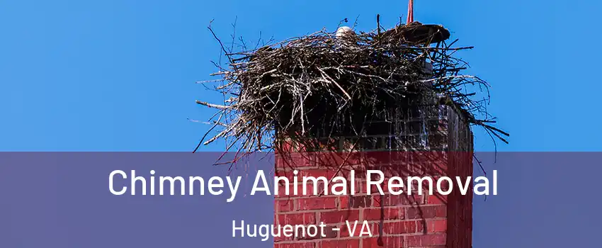 Chimney Animal Removal Huguenot - VA