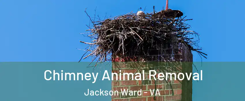 Chimney Animal Removal Jackson Ward - VA