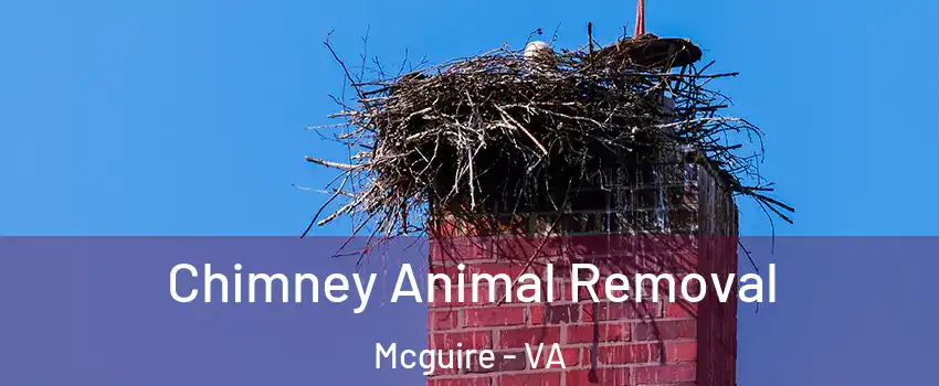 Chimney Animal Removal Mcguire - VA