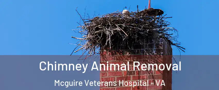 Chimney Animal Removal Mcguire Veterans Hospital - VA