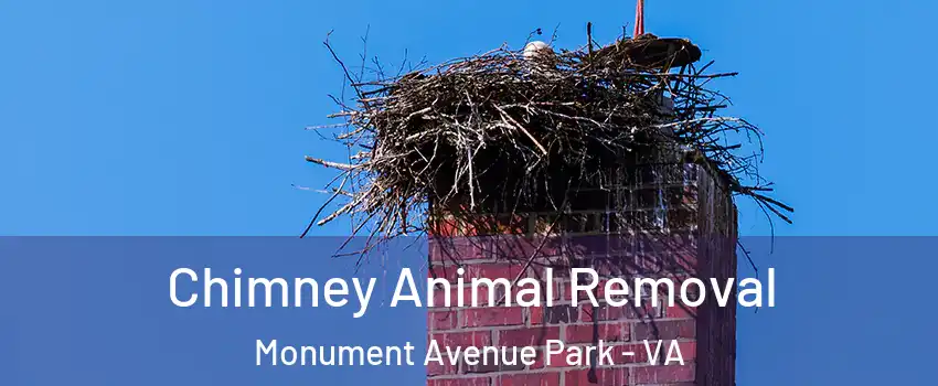 Chimney Animal Removal Monument Avenue Park - VA