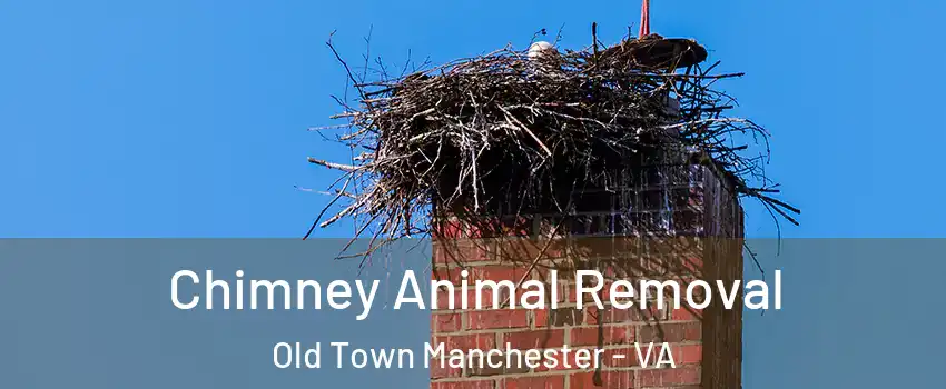 Chimney Animal Removal Old Town Manchester - VA