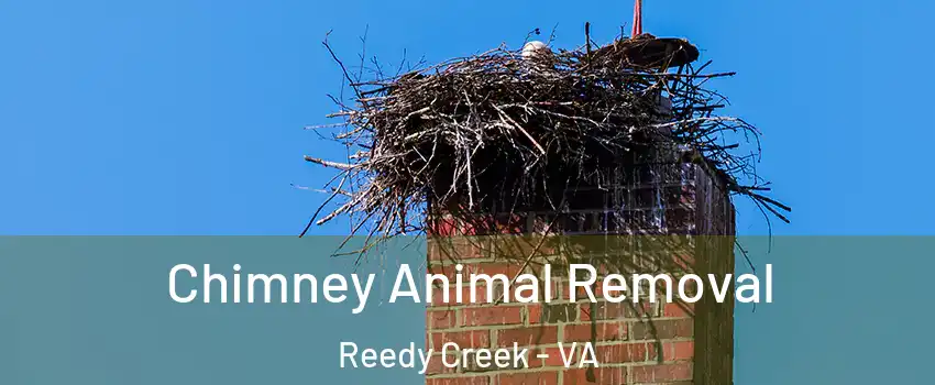 Chimney Animal Removal Reedy Creek - VA