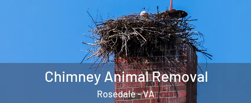 Chimney Animal Removal Rosedale - VA