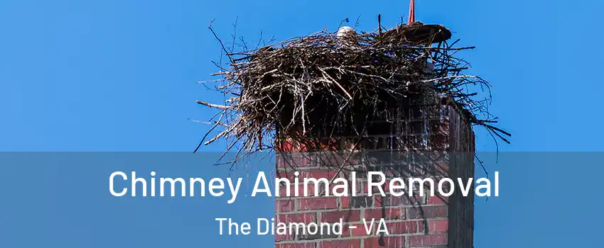 Chimney Animal Removal The Diamond - VA