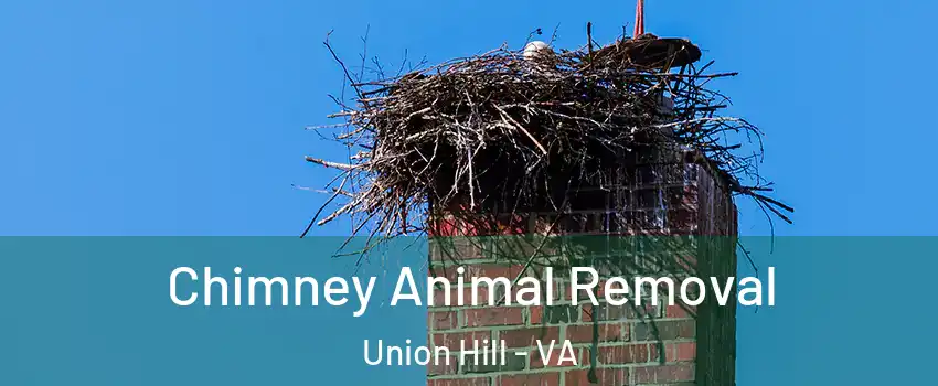 Chimney Animal Removal Union Hill - VA