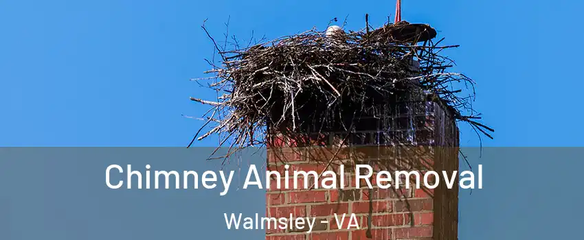 Chimney Animal Removal Walmsley - VA