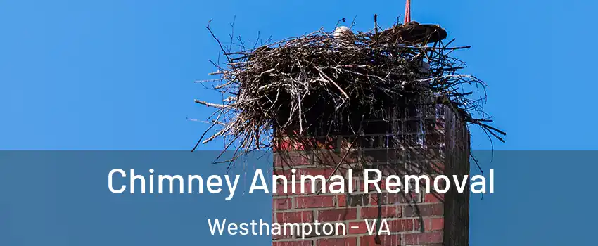 Chimney Animal Removal Westhampton - VA