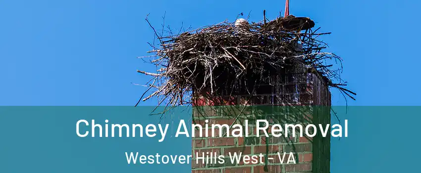 Chimney Animal Removal Westover Hills West - VA