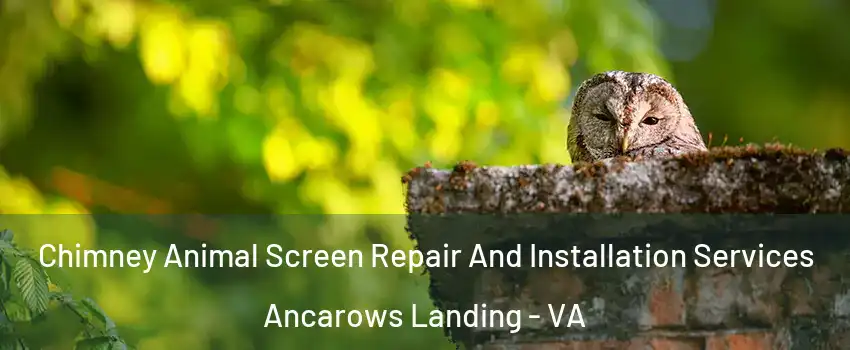 Chimney Animal Screen Repair And Installation Services Ancarows Landing - VA