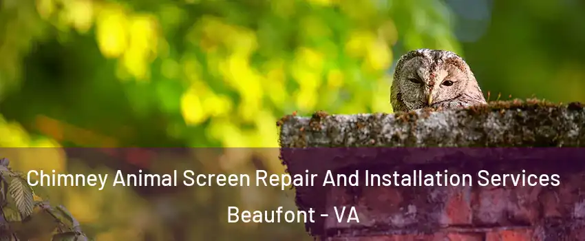 Chimney Animal Screen Repair And Installation Services Beaufont - VA