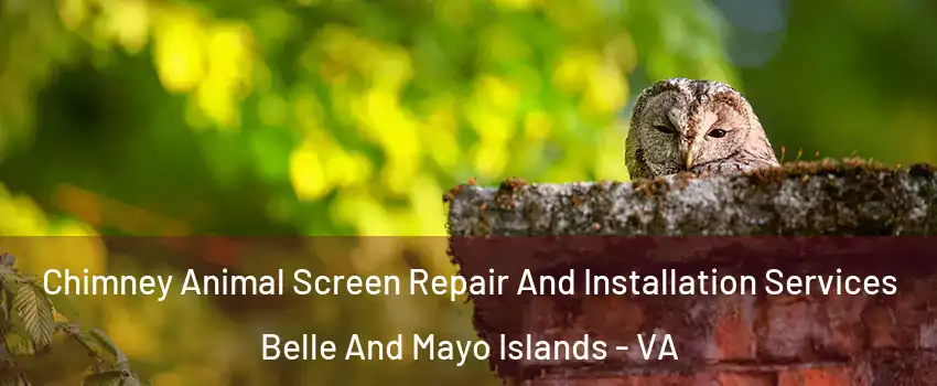 Chimney Animal Screen Repair And Installation Services Belle And Mayo Islands - VA