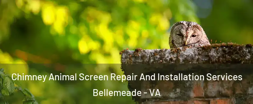 Chimney Animal Screen Repair And Installation Services Bellemeade - VA