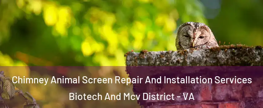 Chimney Animal Screen Repair And Installation Services Biotech And Mcv District - VA