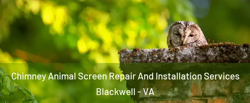 Chimney Animal Screen Repair And Installation Services Blackwell - VA