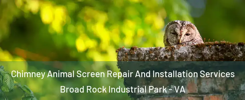 Chimney Animal Screen Repair And Installation Services Broad Rock Industrial Park - VA