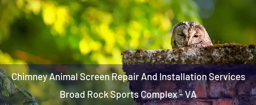 Chimney Animal Screen Repair And Installation Services Broad Rock Sports Complex - VA