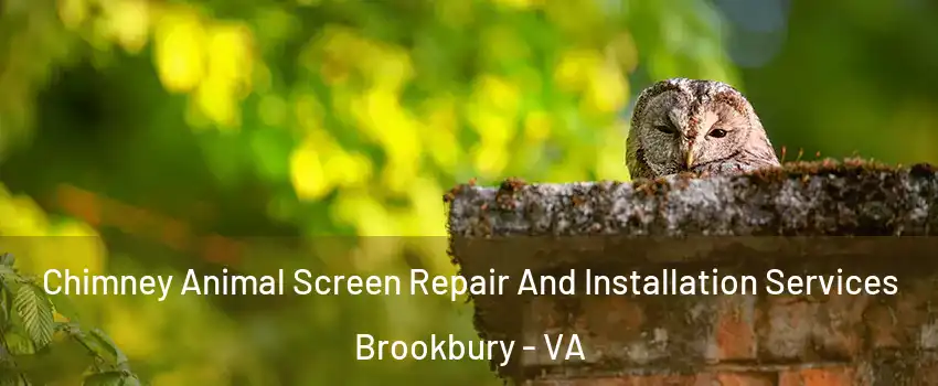 Chimney Animal Screen Repair And Installation Services Brookbury - VA