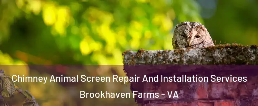 Chimney Animal Screen Repair And Installation Services Brookhaven Farms - VA