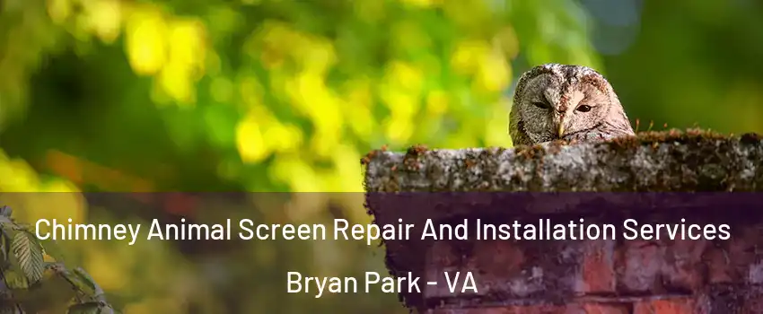 Chimney Animal Screen Repair And Installation Services Bryan Park - VA