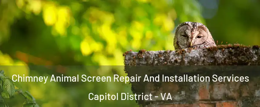 Chimney Animal Screen Repair And Installation Services Capitol District - VA