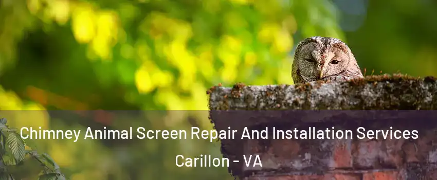 Chimney Animal Screen Repair And Installation Services Carillon - VA