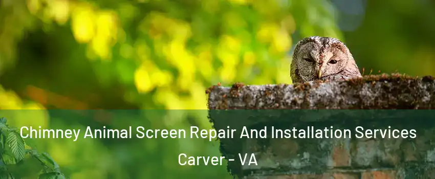 Chimney Animal Screen Repair And Installation Services Carver - VA