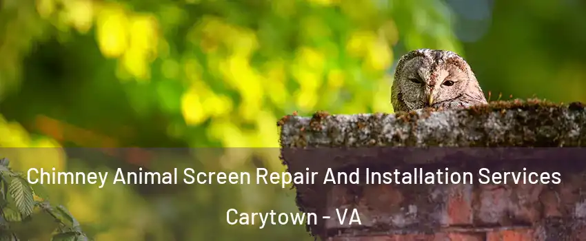 Chimney Animal Screen Repair And Installation Services Carytown - VA