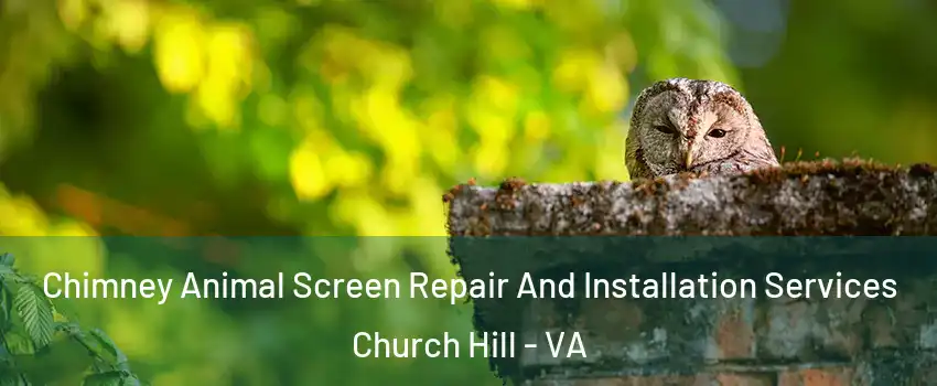 Chimney Animal Screen Repair And Installation Services Church Hill - VA