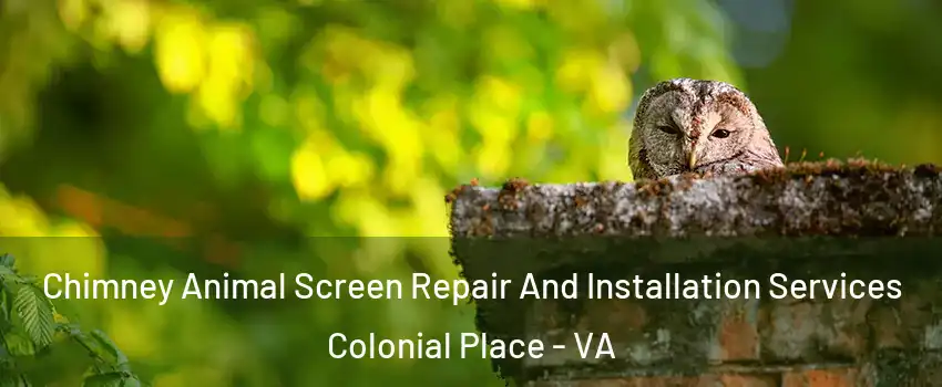 Chimney Animal Screen Repair And Installation Services Colonial Place - VA