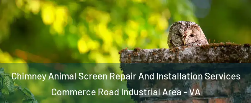 Chimney Animal Screen Repair And Installation Services Commerce Road Industrial Area - VA