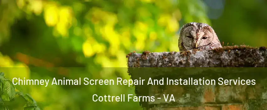 Chimney Animal Screen Repair And Installation Services Cottrell Farms - VA