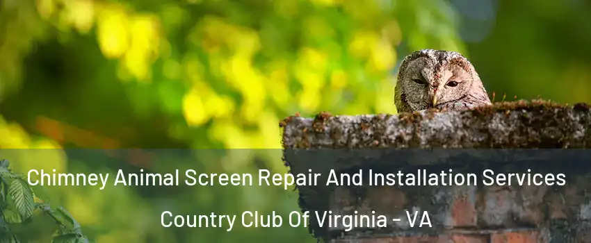 Chimney Animal Screen Repair And Installation Services Country Club Of Virginia - VA