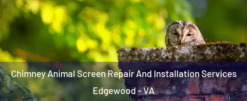 Chimney Animal Screen Repair And Installation Services Edgewood - VA