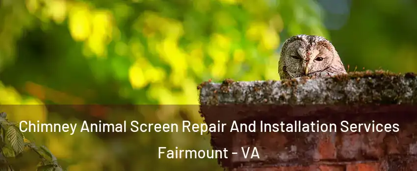 Chimney Animal Screen Repair And Installation Services Fairmount - VA